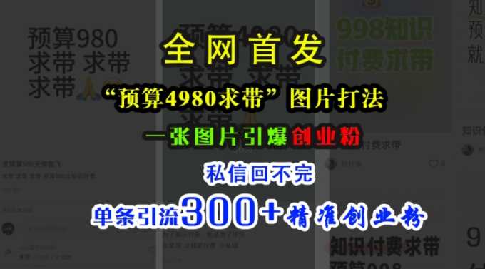 小红书“预算4980带我飞”图片打法，一张图片引爆创业粉，私信回不完，单条引流300+精准创业粉-三六网赚