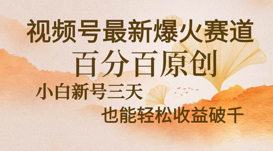 （13225期）视频号最新爆火赛道，中老年粉深信不疑，百分百原创，新号三天收益轻松…-三六网赚