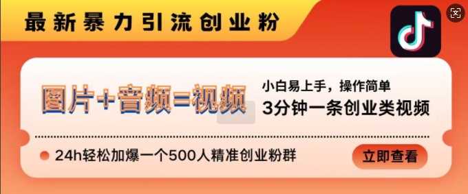 抖音最新暴力引流创业粉，3分钟一条创业类视频，24h轻松加爆一个500人精准创业粉群【揭秘】-三六网赚