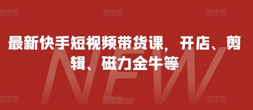 最新快手短视频带货课，开店、剪辑、磁力金牛等-三六网赚