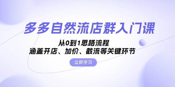 （13279期）多多自然流店群入门课，从0到1思路流程，涵盖开店、加价、截流等关键环节-三六网赚