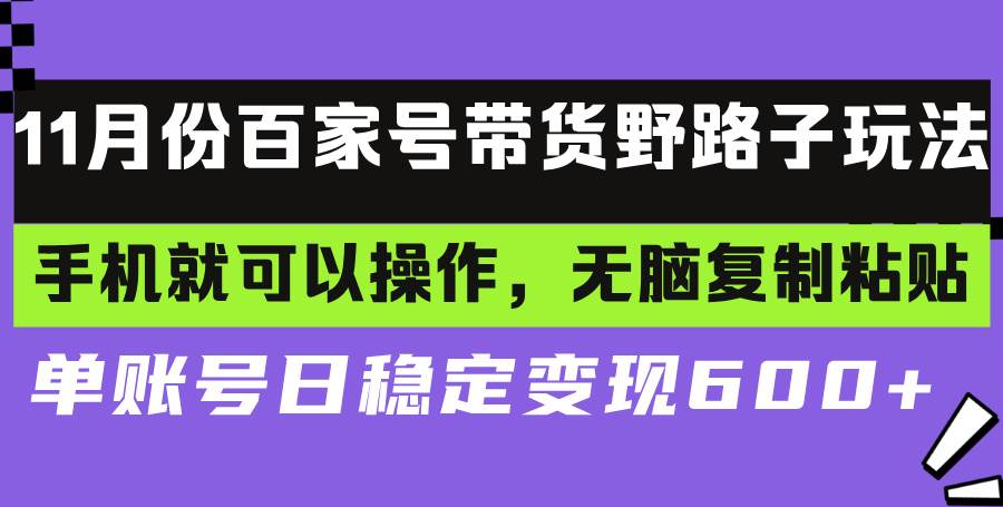 （13281期）百家号带货野路子玩法 手机就可以操作，无脑复制粘贴 单账号日稳定变现…-三六网赚