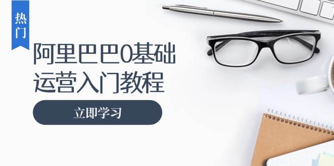 （13291期）阿里巴巴运营零基础入门教程：涵盖开店、运营、推广，快速成为电商高手-三六网赚