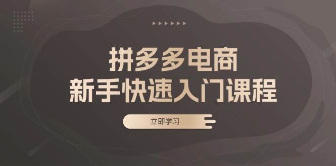 （13289期）拼多多电商新手快速入门课程：涵盖基础、实战与选款，助力小白轻松上手-三六网赚