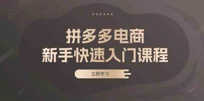 拼多多电商新手快速入门课程：涵盖基础、实战与选款，助力小白轻松上手-三六网赚