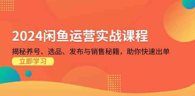 2024闲鱼运营实战课程：揭秘养号、选品、发布与销售秘籍，助你快速出单-三六网赚