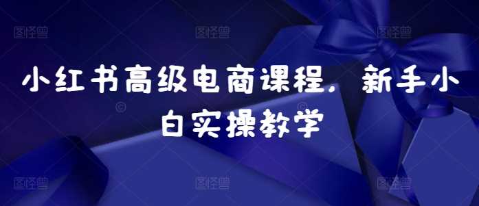 小红书高级电商课程，新手小白实操教学-三六网赚