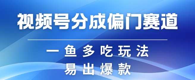 视频号创作者分成计划偏门类目，容易爆流，实拍内容简单易做【揭秘】-三六网赚