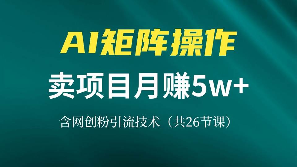 （13335期）网创IP打造课，借助AI卖项目月赚5万+，含引流技术（共26节课）-三六网赚