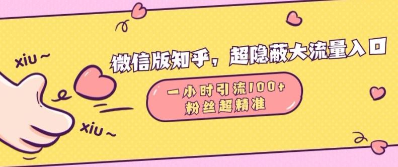 微信版知乎，超隐蔽流量入口1小时引流100人，粉丝质量超高【揭秘】-三六网赚