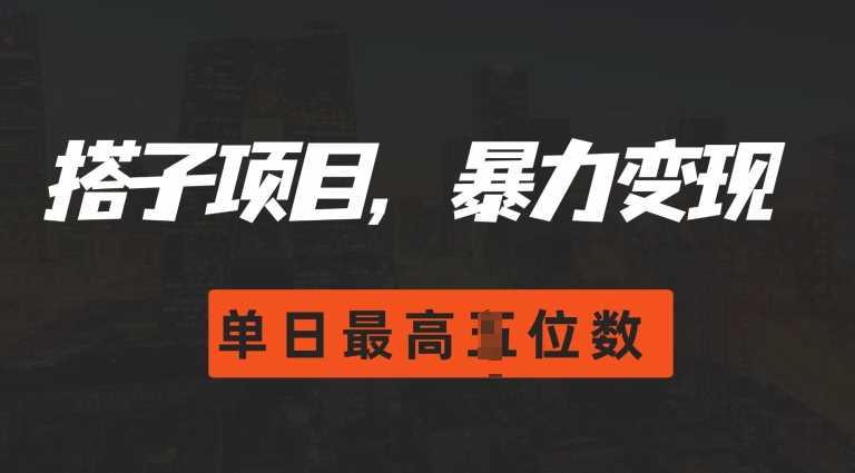 2024搭子玩法，0门槛，暴力变现，单日最高破四位数【揭秘】-三六网赚