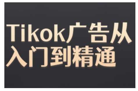 Tiktok Ads实操教程，Tiktok广告从入门到精通-三六网赚