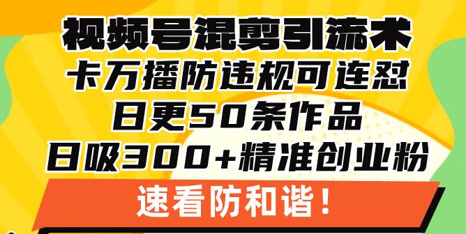 （13400期）视频号混剪引流技术，500万播放引流17000创业粉，操作简单当天学会-三六网赚