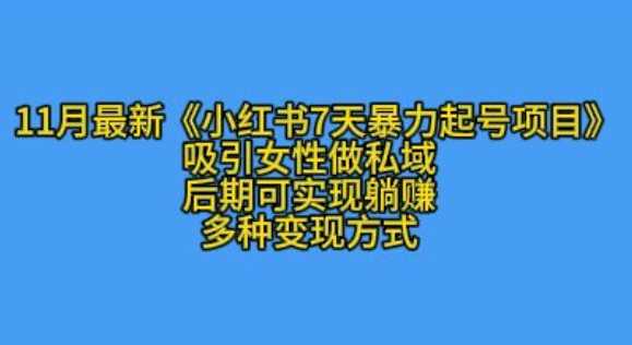 K总部落11月最新小红书7天暴力起号项目，吸引女性做私域【揭秘】-三六网赚