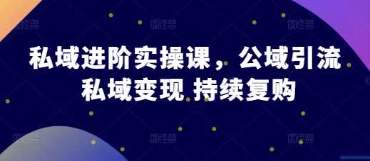 私域进阶实操课，公域引流 私域变现 持续复购-三六网赚