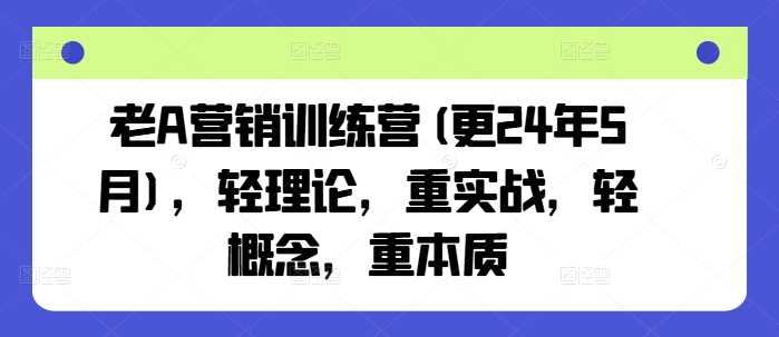 老A营销训练营(更24年11月)，轻理论，重实战，轻概念，重本质-三六网赚