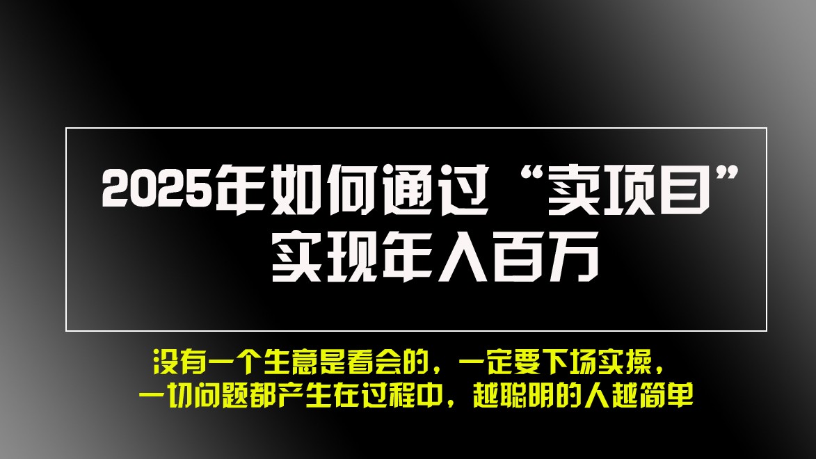 2025年如何通过“卖项目”实现年入百万-三六网赚