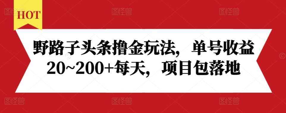 野路子头条撸金玩法，单号收益20~200+每天，项目包落地-三六网赚