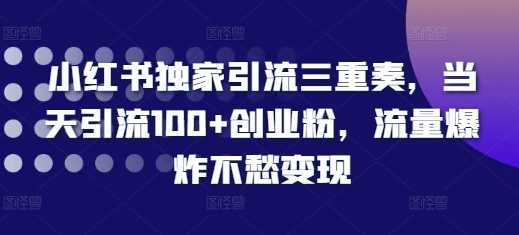 小红书独家引流三重奏，当天引流100+创业粉，流量爆炸不愁变现【揭秘】-三六网赚