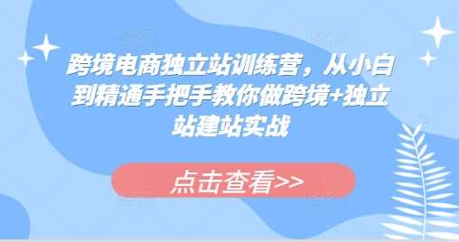 跨境电商独立站训练营，从小白到精通手把手教你做跨境+独立站建站实战-三六网赚