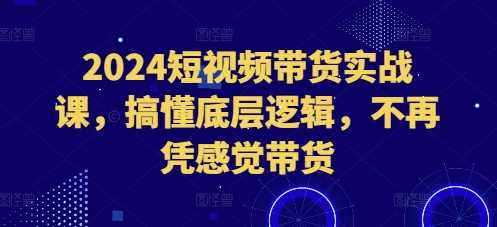 2024短视频带货实战课，搞懂底层逻辑，不再凭感觉带货-三六网赚