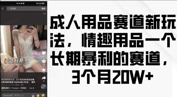 成人用品赛道新玩法，情趣用品一个长期暴利的赛道，3个月收益20个【揭秘】-三六网赚