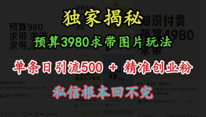 预算3980求带 图片玩法，单条日引流500+精准创业粉，私信根本回不完-三六网赚