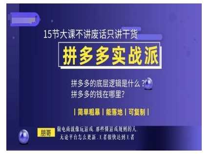 朋哥电商(拼多多实战派)，15节大课不讲废话只讲干货，简单粗暴 能落地 可复制-三六网赚