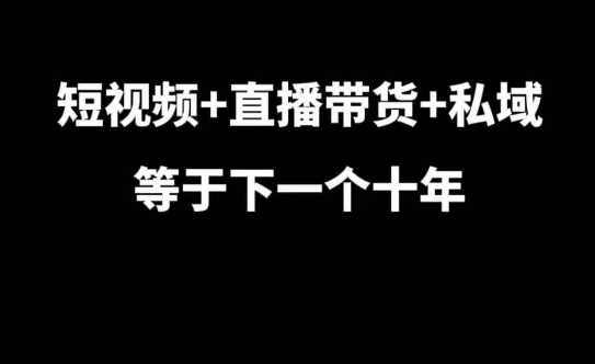 短视频+直播带货+私域等于下一个十年，大佬7年实战经验总结-三六网赚