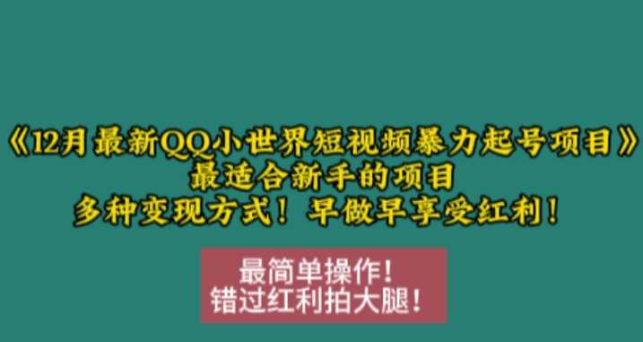 12月最新QQ小世界短视频暴力起号项目，最适合新手的项目，多种变现方式-三六网赚