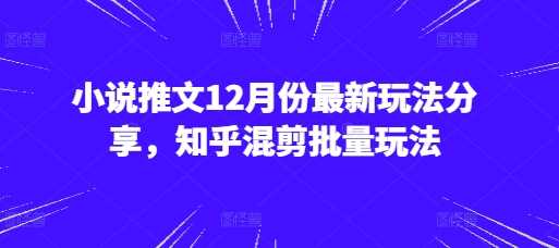 小说推文12月份最新玩法分享，知乎混剪批量玩法-三六网赚