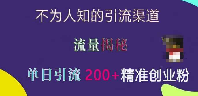 不为人知的引流渠道，流量揭秘，实测单日引流200+精准创业粉【揭秘】-三六网赚