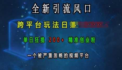 全新引流风口，跨平台玩法日入上k，单日狂揽200+精准创业粉，一个被严重忽略的视频平台-三六网赚