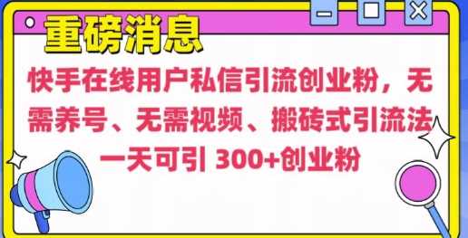 快手最新引流创业粉方法，无需养号、无需视频、搬砖式引流法【揭秘】-三六网赚