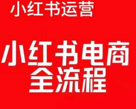 红薯电商实操课，小红书电商全流程-三六网赚