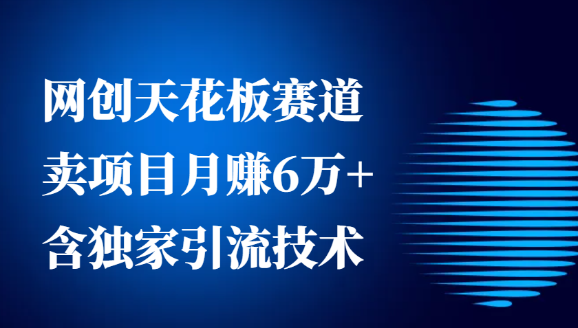 网创天花板赛道，卖项目月赚6万+，含独家引流技术（共26节课）-三六网赚