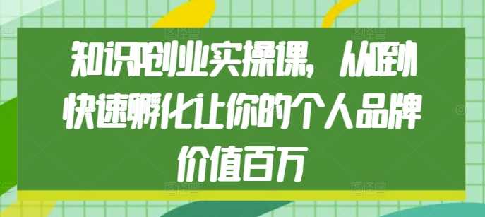 知识IP创业实操课，从0到1快速孵化让你的个人品牌价值百万-三六网赚