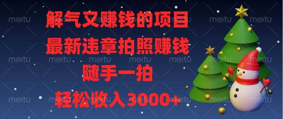 （13686期）解气又赚钱的项目，最新违章拍照赚钱，随手一拍，轻松收入3000+-三六网赚