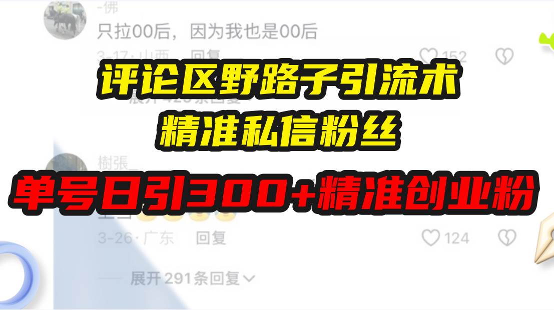 （13676期）评论区野路子引流术，精准私信粉丝，单号日引流300+精准创业粉-三六网赚