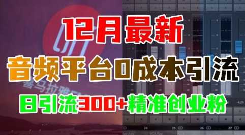 12月最新：音频平台0成本引流，日引流300+精准创业粉-三六网赚