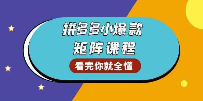 拼多多爆款矩阵课程：教你测出店铺爆款，优化销量，提升GMV，打造爆款群-三六网赚