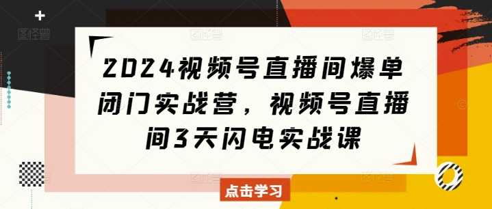 2024视频号直播间爆单闭门实战营，视频号直播间3天闪电实战课-三六网赚