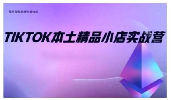 TikTok本土精品小店出海实战营，从入门到高阶，不止0-1!-三六网赚