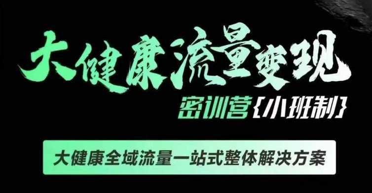 千万级大健康变现课线下课，大健康全域流量一站式整体解决方案-三六网赚