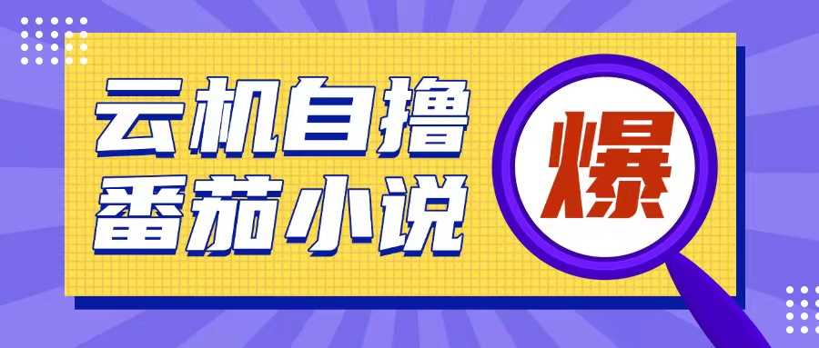 首发云手机自撸小说玩法，10块钱成本可撸200+收益操作简单【揭秘】-三六网赚