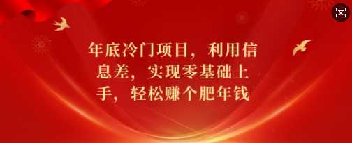 年底冷门项目，利用信息差，实现零基础上手，轻松赚个肥年钱【揭秘】-三六网赚