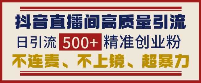 抖音直播间引流创业粉，无需连麦、不用上镜、超暴力，日引流500+高质量精准创业粉-三六网赚