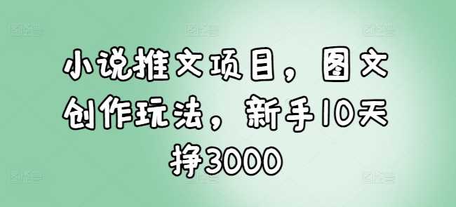 小说推文项目，图文创作玩法，新手10天挣3000-三六网赚