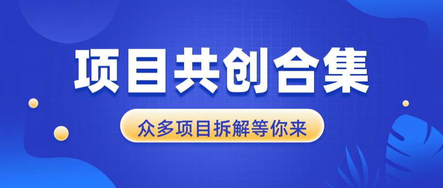 （13778期）项目共创合集，从0-1全过程拆解，让你迅速找到适合自已的项目-三六网赚