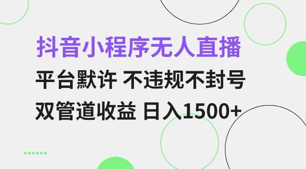 抖音小程序无人直播 平台默许 不违规不封号 双管道收益 日入多张 小白也能轻松操作【仅揭秘】-三六网赚